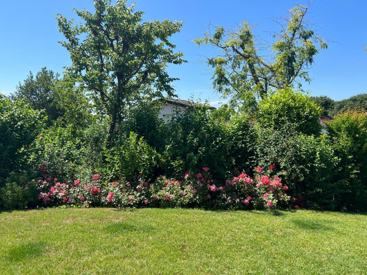 Steba House Savani Barbara Foresteria Lombarda Lonato Zewnętrze zdjęcie